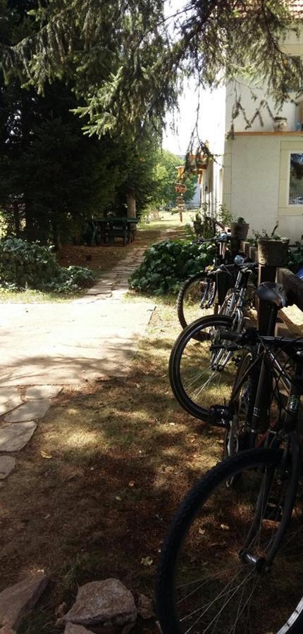 Belette Apartments & Park Nikšić エクステリア 写真